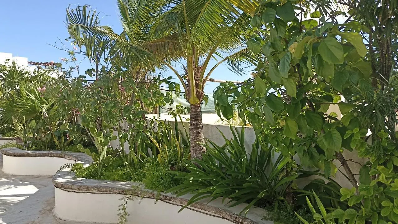 Encanto Riviera Luxury Apartments Playa del Carmen Mexique